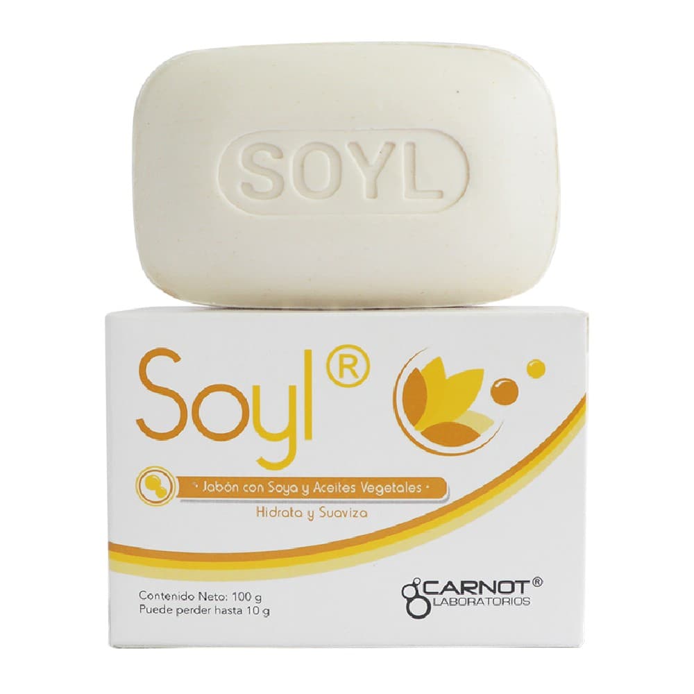 SOYL BARRA LIMPIADOR HIDRATANTE BARRA X 100 GR (JABONES)